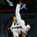 새서울태권도 이미지