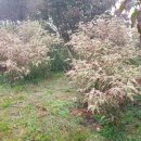 한일농장 이미지