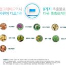 [수분크림] 수분아 대용량 워터드롭 수분크림