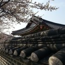 시골로스터리 영주점 | 군위 가볼만한곳, 여행코스, 맛집, 카페 추천