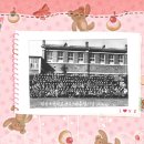 월평초등학교 이미지