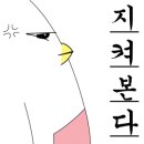 밤골작은도서관 이미지