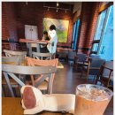 스타벅스 대전둔산로점 이미지