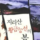 진등재 이미지