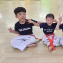 M&H 태권도장 이미지