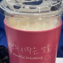 제주리브 | 제주 여행 후기 : 4년만에 제주를 가다.