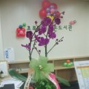 초록향기작은도서관 이미지