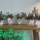 혜주공방 이미지
