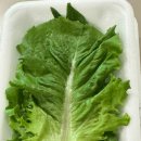 동신참치양재직영점 이미지