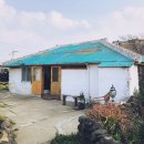 뷰티풀메스(싱자프로젝트) | 제주공항 근처 감성숙소 뷰티풀메스 케케묵은 후기