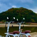 강릉바이크프라자 이미지