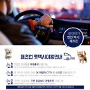 펫택시 이미지