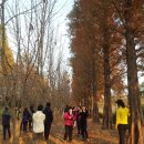 보물찾기 이미지