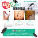 무림 합기도 특공무술 이미지