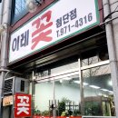 송아다육 | 광주 이레꽃 첨단점 몬스테라 거실 인테리어용 화분 후기
