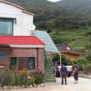 우경이네 이미지