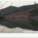 화림제 네이버블로그