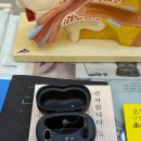 마포좋은보청기 이미지