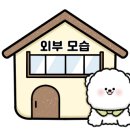 펜션 베네치아 네이버블로그