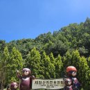 자연과아이들 | 보성 제암산자연휴양림 물놀이장 아이들과 다녀온 후기 🌲
