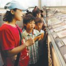 미래엔교과서박물관 이미지