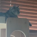 상빈농장 이미지