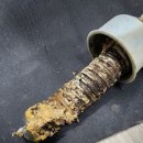 정도어린이집 이미지