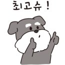 제주 호박 민박 네이버블로그