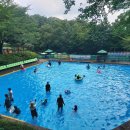 11545-09-60-26 | 천안 근교 아산 영인산 자연휴양림 물놀이장 방문후기(예약방법, 평상 명당, 준비물)
