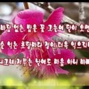 살구꽃핀마을은 이미지