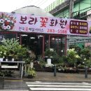 보라꽃화원 네이버블로그