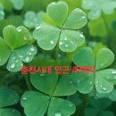 북한강코아루공인중개사사무소 | 춘천 사농동 시내 관광지 투자및 주택부지 (1억5천만 원)