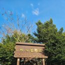 매골 | 가평 가성비 숙소 써니힐펜션 라즈베리 통나무동 101호 내돈내산 솔직후기