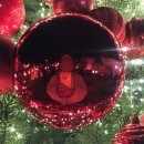 으능정이문화의거리 | 트리헌터 재등장