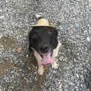 연극 고칠봉씨 귀촌분투기 이미지