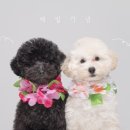솔라루나 이미지