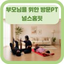 어르신들의 1:1 맞춤운동 솔직후기/ 부모님 운동선물...레슨 운동 pt/ 시니어를 위한 방문홈트 /재활운동