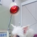두암한방병원 이미지