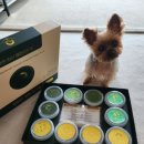 우월한 탄산 | [강아지화식] 14살 요크셔 '보리'의 인생 밥상, 우월한탄산 한반도 바른 한그릇 후기