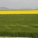 감동마을회관 이미지