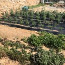 헤이리풀빌라 워라밸 호스텔 이미지