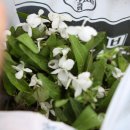 옥산농원 이미지