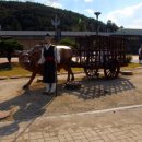 남해유배문학관 이미지