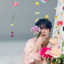 허니데이 이미지