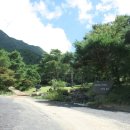 서대산약용자연휴양림 이미지