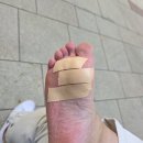 정비아재 | 맛집,먹방투어 아재들의 일본 오사카여행 츠루하시 스시오마카세 스시요시