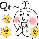거제에코투어