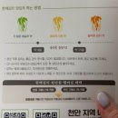 한백 | 천안김치맛집 정성가득한 수제김치 한백김치 후기