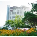 플로라모텔 이미지