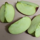 박순옥농장 이미지